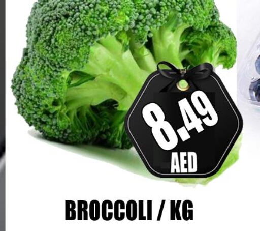  Broccoli  in GRAND MAJESTIC HYPERMARKET in الإمارات العربية المتحدة , الامارات - أبو ظبي