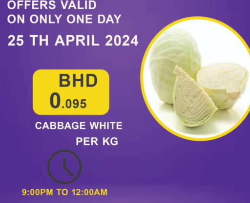  Cabbage  in Hassan Mahmood Group in Bahrain
