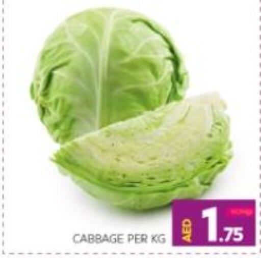  Cabbage  in الامارات السبع سوبر ماركت in الإمارات العربية المتحدة , الامارات - أبو ظبي