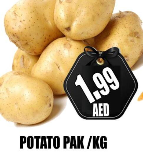  Potato  in GRAND MAJESTIC HYPERMARKET in الإمارات العربية المتحدة , الامارات - أبو ظبي