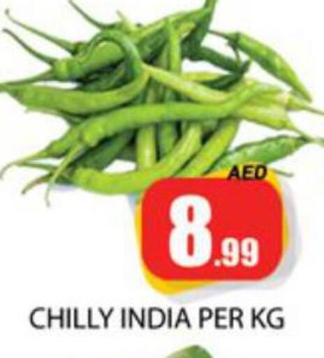  Cucumber  in Zain Mart Supermarket in UAE - Ras al Khaimah