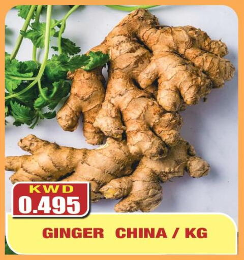  Ginger  in Olive Hyper Market in Kuwait - Ahmadi Governorate