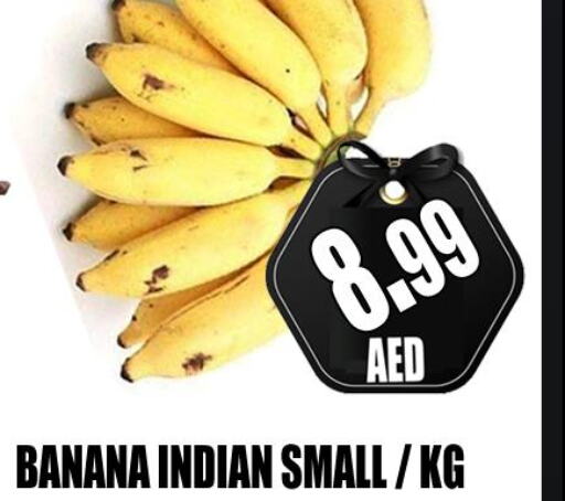  Banana  in GRAND MAJESTIC HYPERMARKET in الإمارات العربية المتحدة , الامارات - أبو ظبي