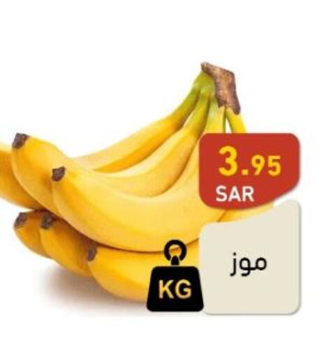  Banana  in Aswaq Ramez in KSA, Saudi Arabia, Saudi - Hafar Al Batin