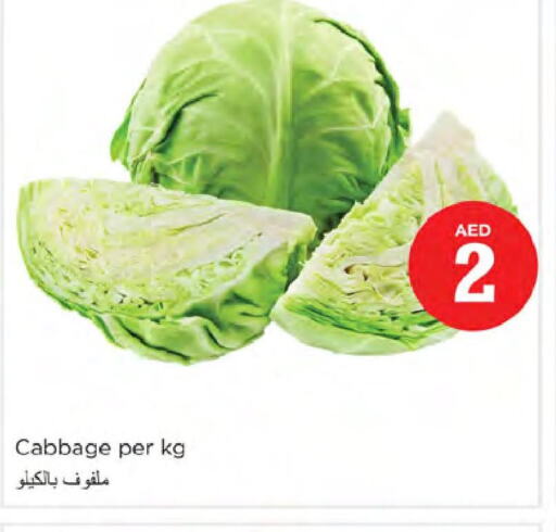  Cabbage  in Nesto Hypermarket in UAE - Dubai