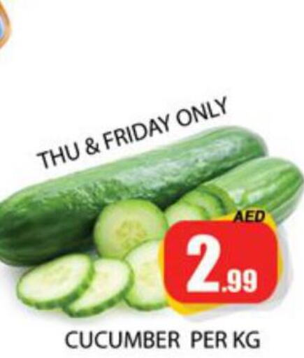  Cucumber  in Zain Mart Supermarket in UAE - Ras al Khaimah