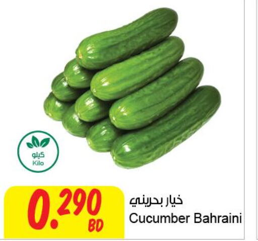  Cucumber  in مركز سلطان in البحرين