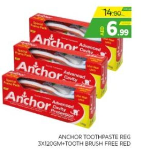 ANCHOR Toothpaste  in الامارات السبع سوبر ماركت in الإمارات العربية المتحدة , الامارات - أبو ظبي