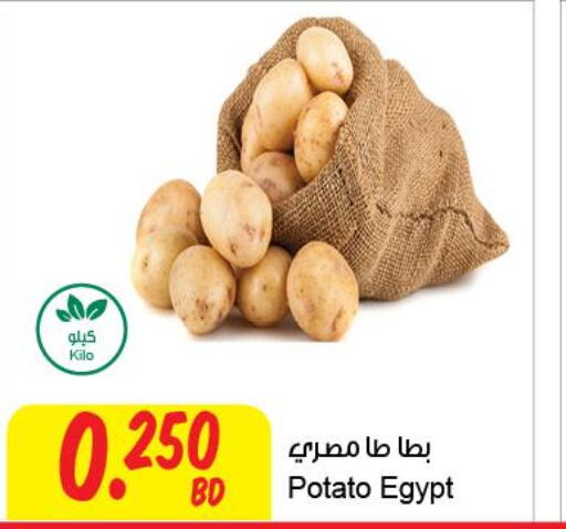  Potato  in The Sultan Center in Bahrain