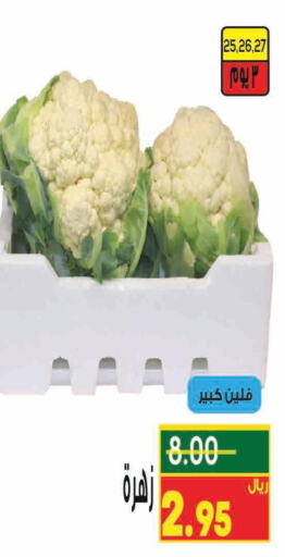  Mushroom  in Kraz Hypermarket in KSA, Saudi Arabia, Saudi - Unayzah