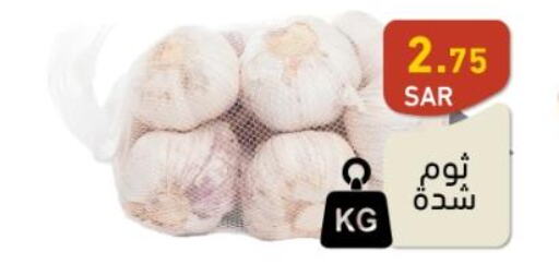  Garlic  in Aswaq Ramez in KSA, Saudi Arabia, Saudi - Al Hasa