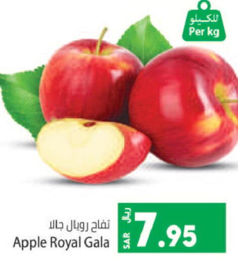  Apples  in Kabayan Hypermarket in KSA, Saudi Arabia, Saudi - Jeddah