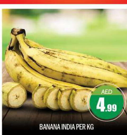  Banana  in BIGmart in UAE - Abu Dhabi
