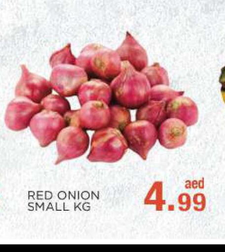  Onion  in C.M. supermarket in UAE - Abu Dhabi