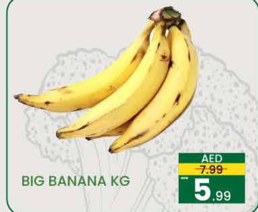  Banana  in مدهور سوبرماركت in الإمارات العربية المتحدة , الامارات - الشارقة / عجمان