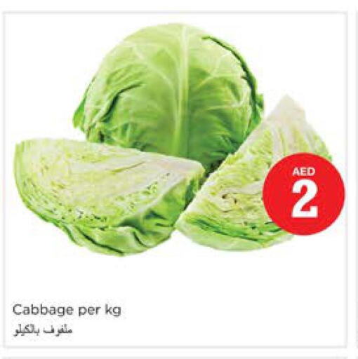  Cabbage  in نستو هايبرماركت in الإمارات العربية المتحدة , الامارات - دبي
