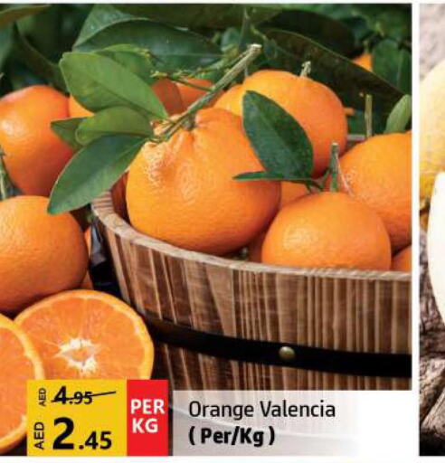  Orange  in الحوت  in الإمارات العربية المتحدة , الامارات - الشارقة / عجمان