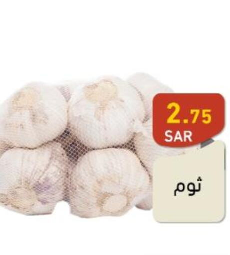  Garlic  in Aswaq Ramez in KSA, Saudi Arabia, Saudi - Hafar Al Batin
