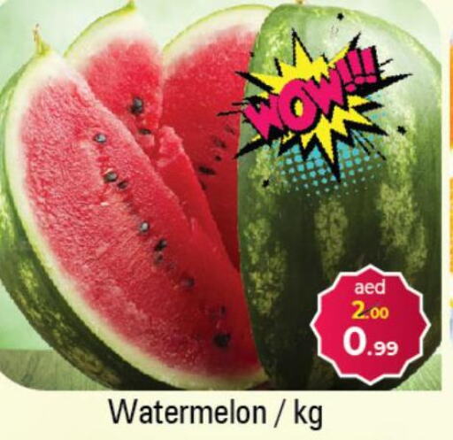  Watermelon  in سوق المبارك هايبرماركت in الإمارات العربية المتحدة , الامارات - الشارقة / عجمان
