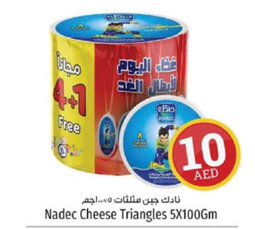 NADEC Triangle Cheese  in كنز هايبرماركت in الإمارات العربية المتحدة , الامارات - الشارقة / عجمان