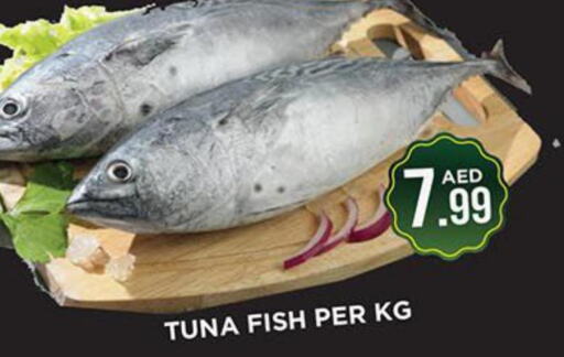  Tuna  in Ainas Al madina hypermarket in UAE - Sharjah / Ajman