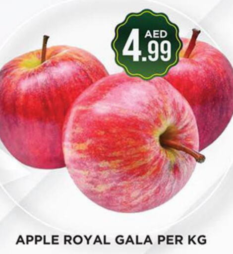 Apples  in Ainas Al madina hypermarket in UAE - Sharjah / Ajman