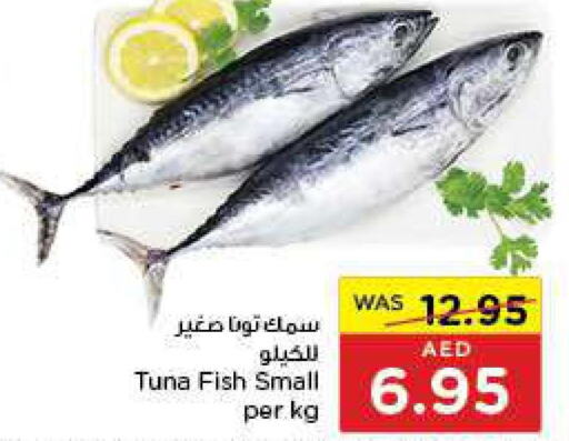  Tuna  in جمعية العين التعاونية in الإمارات العربية المتحدة , الامارات - أبو ظبي