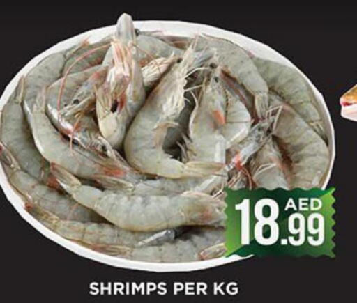  in Ainas Al madina hypermarket in UAE - Sharjah / Ajman