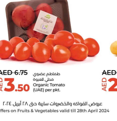  Tomato  in لولو هايبرماركت in الإمارات العربية المتحدة , الامارات - أبو ظبي