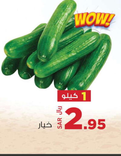  Cucumber  in Supermarket Stor in KSA, Saudi Arabia, Saudi - Riyadh