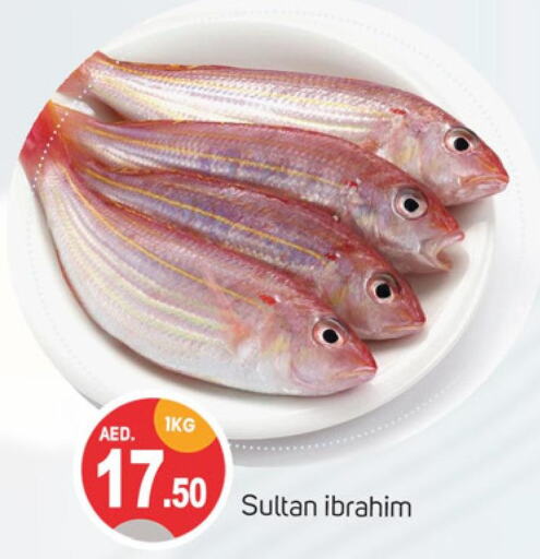  Tuna  in سوق طلال in الإمارات العربية المتحدة , الامارات - دبي