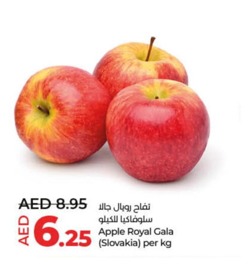  Apples  in لولو هايبرماركت in الإمارات العربية المتحدة , الامارات - الشارقة / عجمان