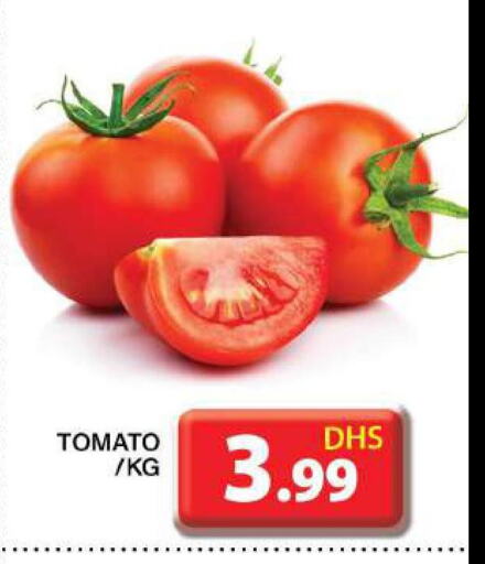  Tomato  in جراند هايبر ماركت in الإمارات العربية المتحدة , الامارات - دبي