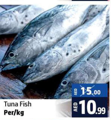  Tuna  in الحوت  in الإمارات العربية المتحدة , الامارات - رَأْس ٱلْخَيْمَة