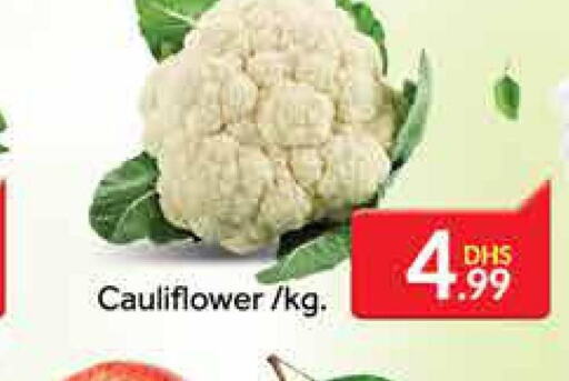  Cauliflower  in المدينة in الإمارات العربية المتحدة , الامارات - دبي