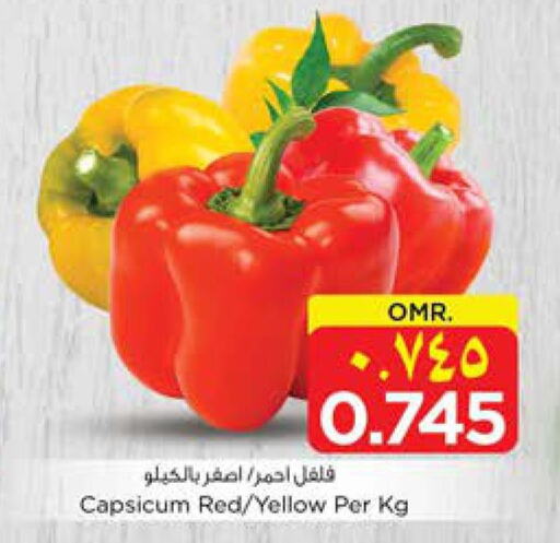  Chilli / Capsicum  in Nesto Hyper Market   in Oman - Salalah
