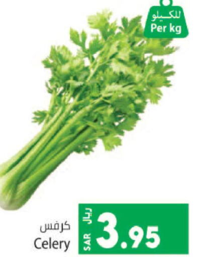  Celery  in Kabayan Hypermarket in KSA, Saudi Arabia, Saudi - Jeddah