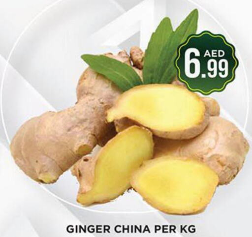  Ginger  in Ainas Al madina hypermarket in UAE - Sharjah / Ajman