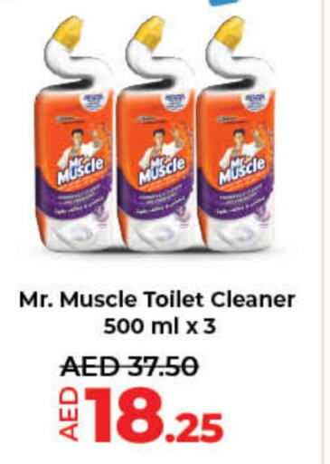MR. MUSCLE Toilet / Drain Cleaner  in لولو هايبرماركت in الإمارات العربية المتحدة , الامارات - ٱلْفُجَيْرَة‎