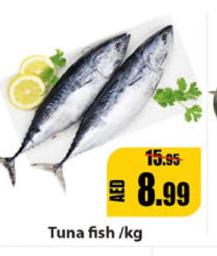  Tuna  in Leptis Hypermarket  in UAE - Umm al Quwain