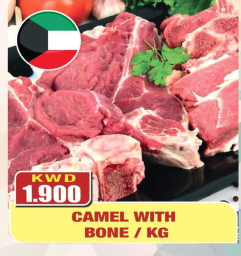  Camel meat  in أوليف هايبر ماركت in الكويت - محافظة الأحمدي