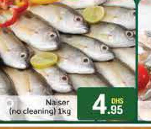  King Fish  in Azhar Al Madina Hypermarket in UAE - Dubai