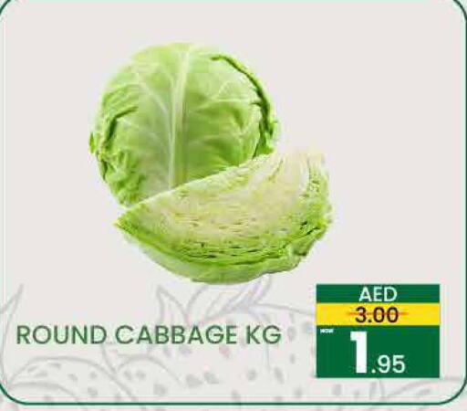  Cabbage  in مدهور سوبرماركت in الإمارات العربية المتحدة , الامارات - الشارقة / عجمان