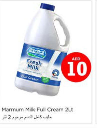 MARMUM Full Cream Milk  in نستو هايبرماركت in الإمارات العربية المتحدة , الامارات - دبي