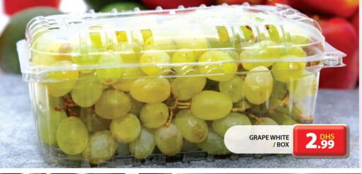  Grapes  in جراند هايبر ماركت in الإمارات العربية المتحدة , الامارات - الشارقة / عجمان
