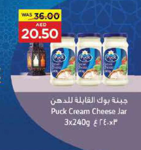 PUCK Cream Cheese  in ايـــرث سوبرماركت in الإمارات العربية المتحدة , الامارات - ٱلْعَيْن‎