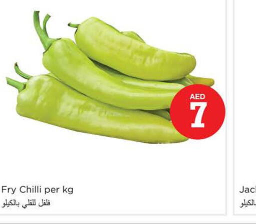  Chilli / Capsicum  in Nesto Hypermarket in UAE - Dubai