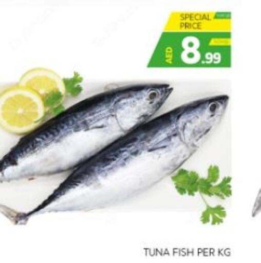  Tuna  in الامارات السبع سوبر ماركت in الإمارات العربية المتحدة , الامارات - أبو ظبي