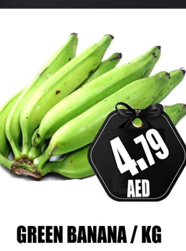  Banana Green  in GRAND MAJESTIC HYPERMARKET in الإمارات العربية المتحدة , الامارات - أبو ظبي