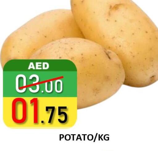  Potato  in ROYAL GULF HYPERMARKET LLC in UAE - Abu Dhabi